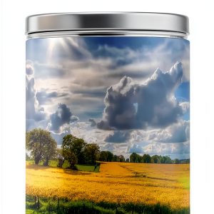 Ukrainian Weather eBook by Andrii Ponomarenko-0