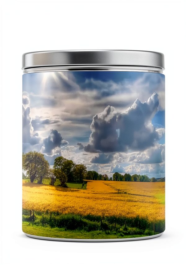 Ukrainian Weather eBook by Andrii Ponomarenko-0